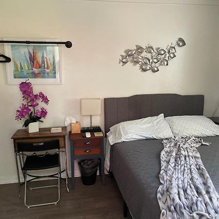 Lovely Studio Apartment With Kitchenette. تامبا المظهر الخارجي الصورة