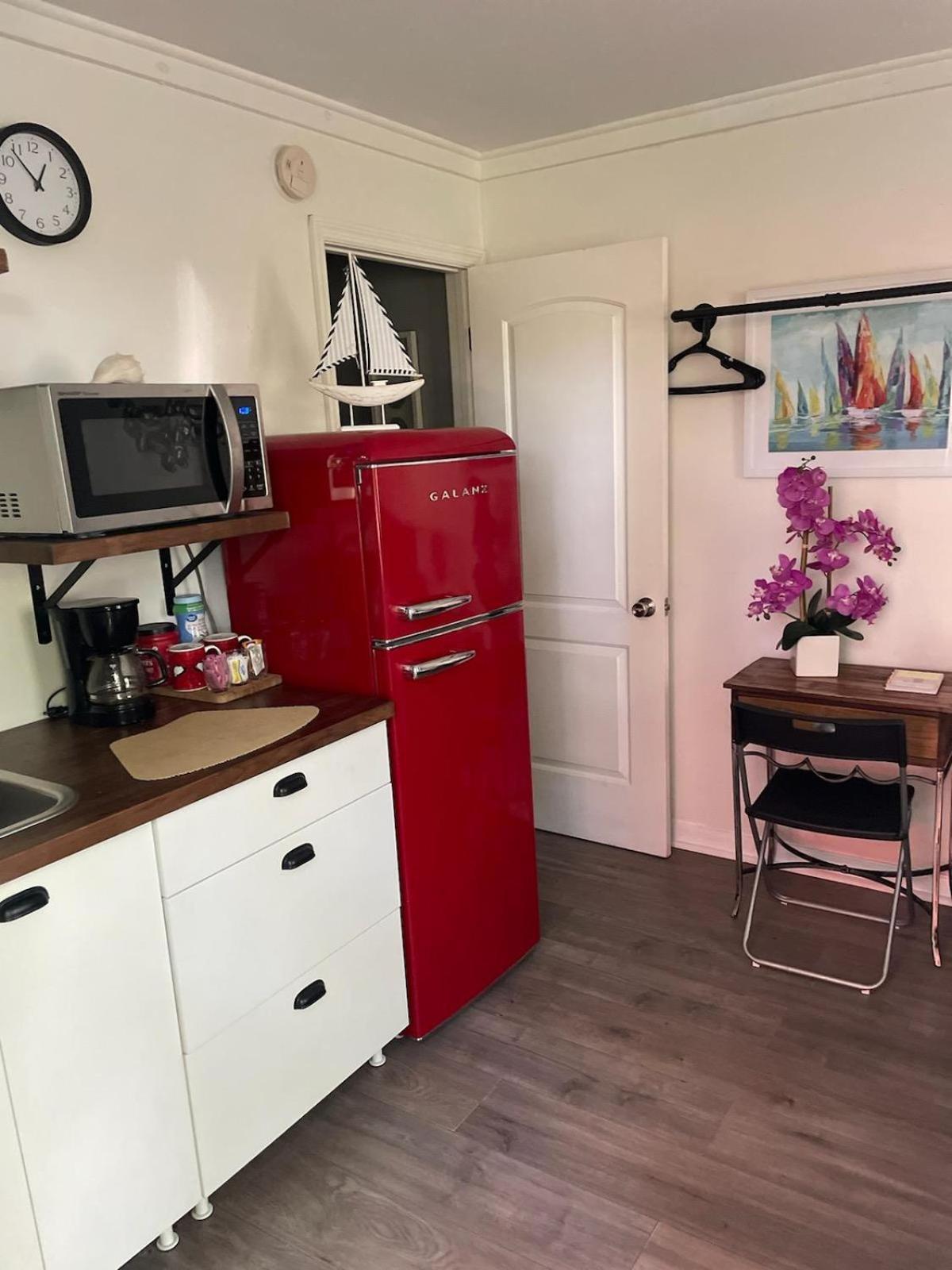 Lovely Studio Apartment With Kitchenette. تامبا المظهر الخارجي الصورة